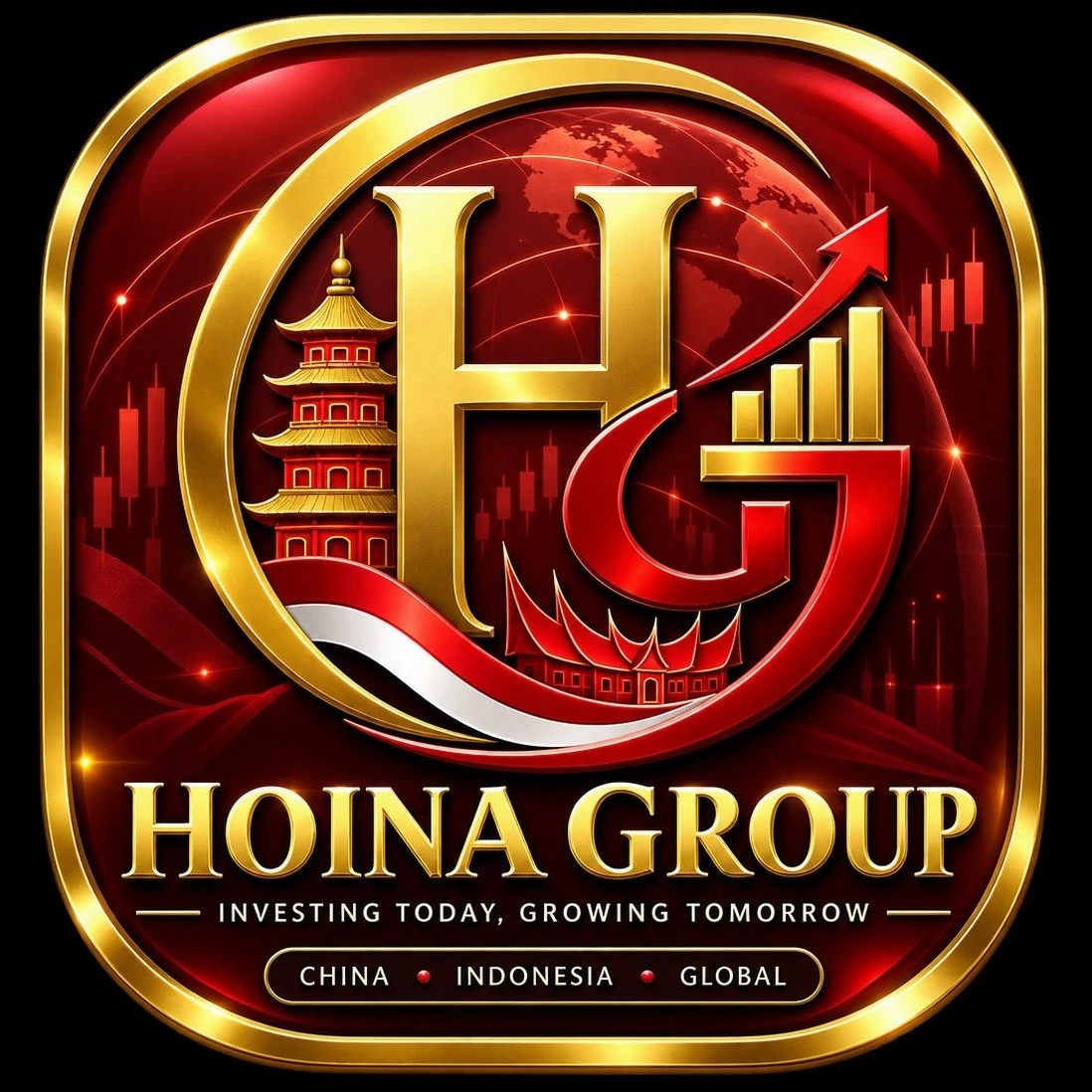 Logo HOINA GROUP
